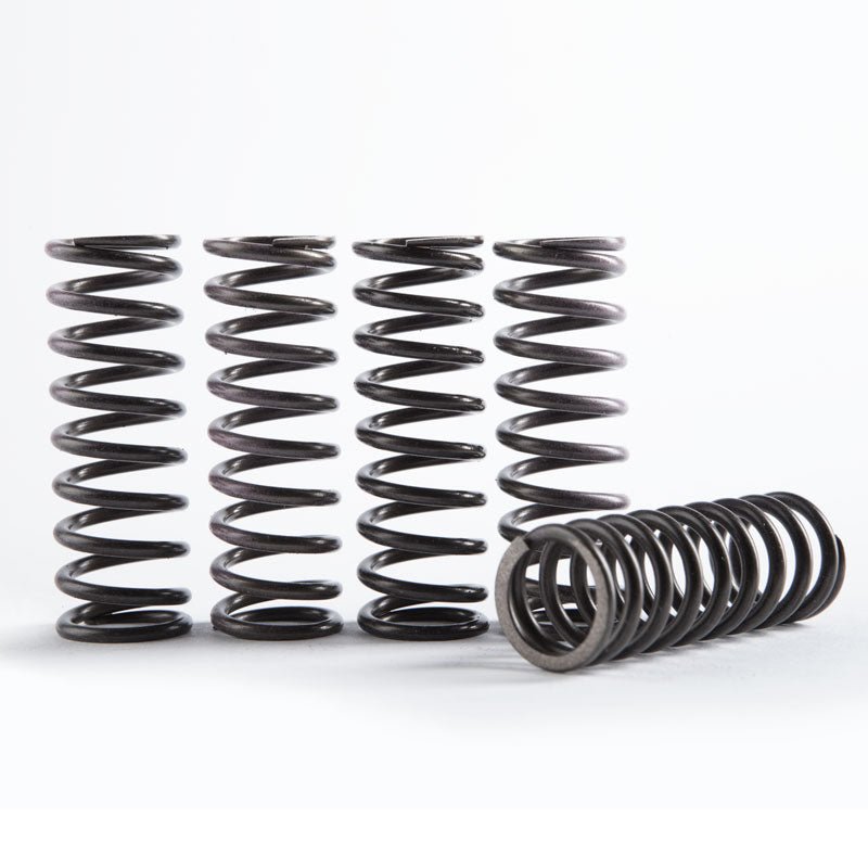 Hinson 5pc Hi - Temp Clutch Springs | CS341 - 5 - 0311 - MojoMotoSport.com