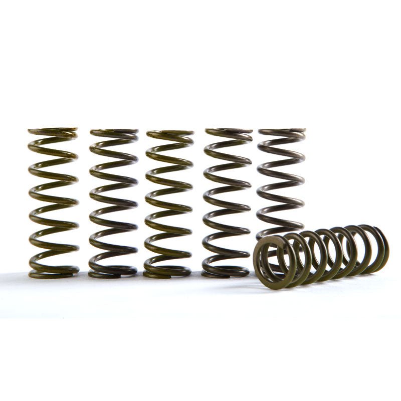 Hinson 6pc Hi - Temp Clutch Springs | CS330 - 6 - 0509 - MojoMotoSport.com