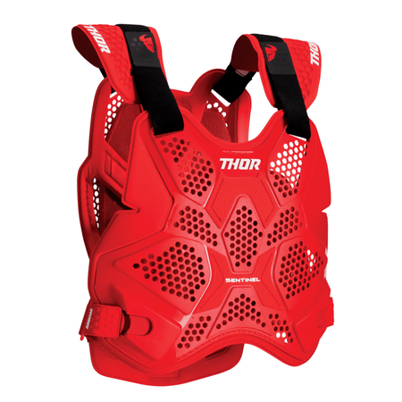 Thor 2025 Sentinel Pro Guard - MojoMotoSport.com