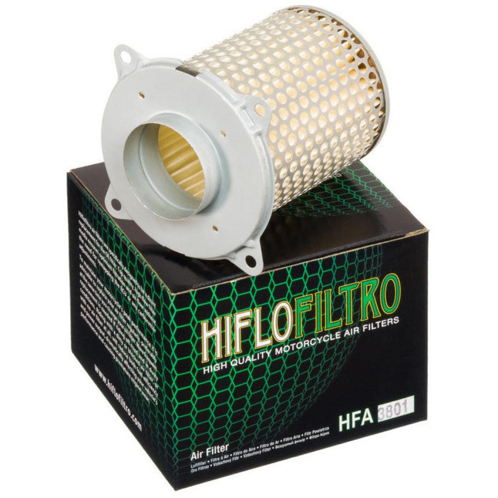 Hiflo Air Filter | HFA3801 - MojoMotoSport.com
