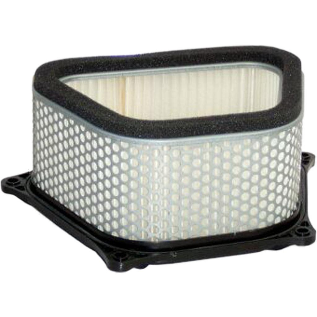Hiflo Air Filter | HFA3901 - MojoMotoSport.com