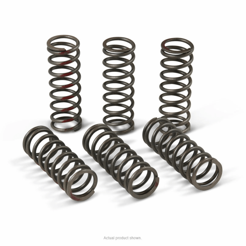 Pro Circuit High Performance Clutch Springs 2013 - 20 Honda CRF450R | CSH13450 - CS - MojoMotoSport.com