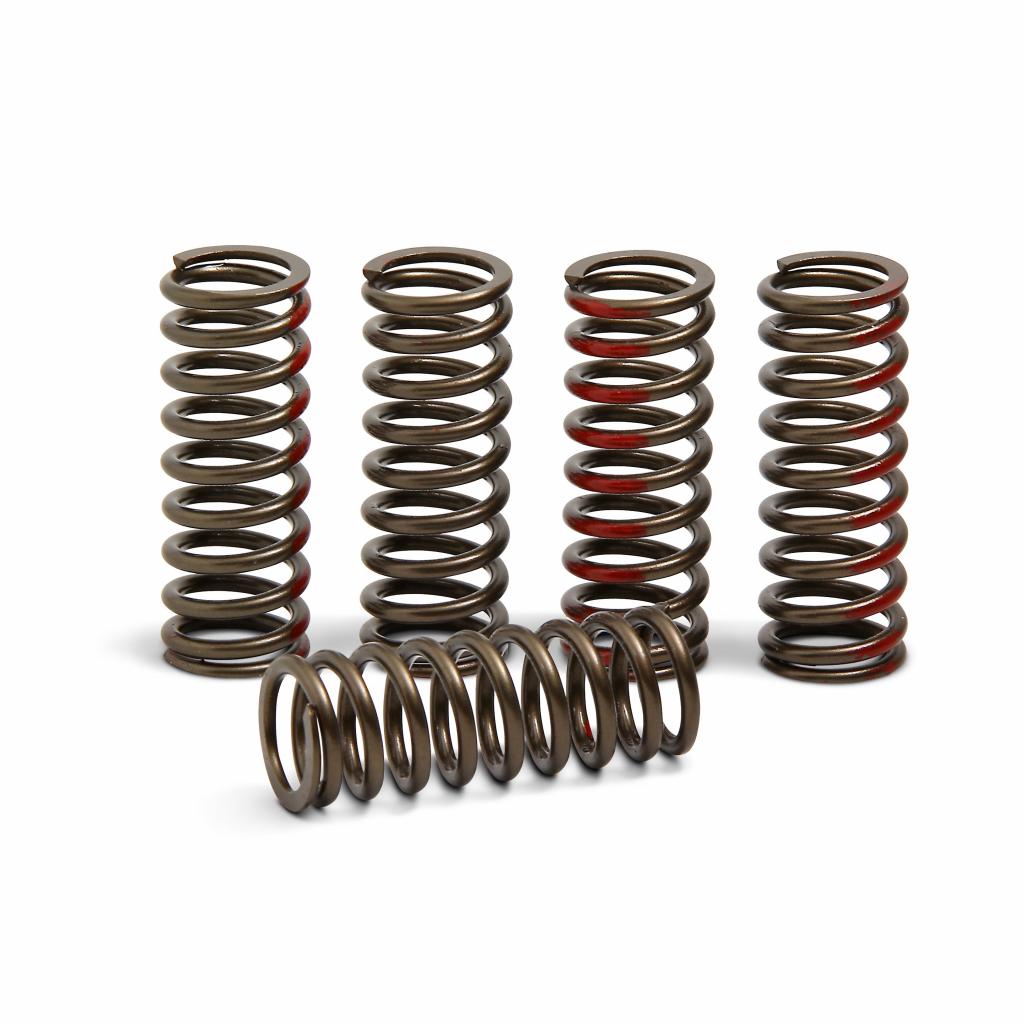 Pro Circuit High Performance Clutch Springs 2018 Honda CRF250R | CSH18250 - CS - MojoMotoSport.com