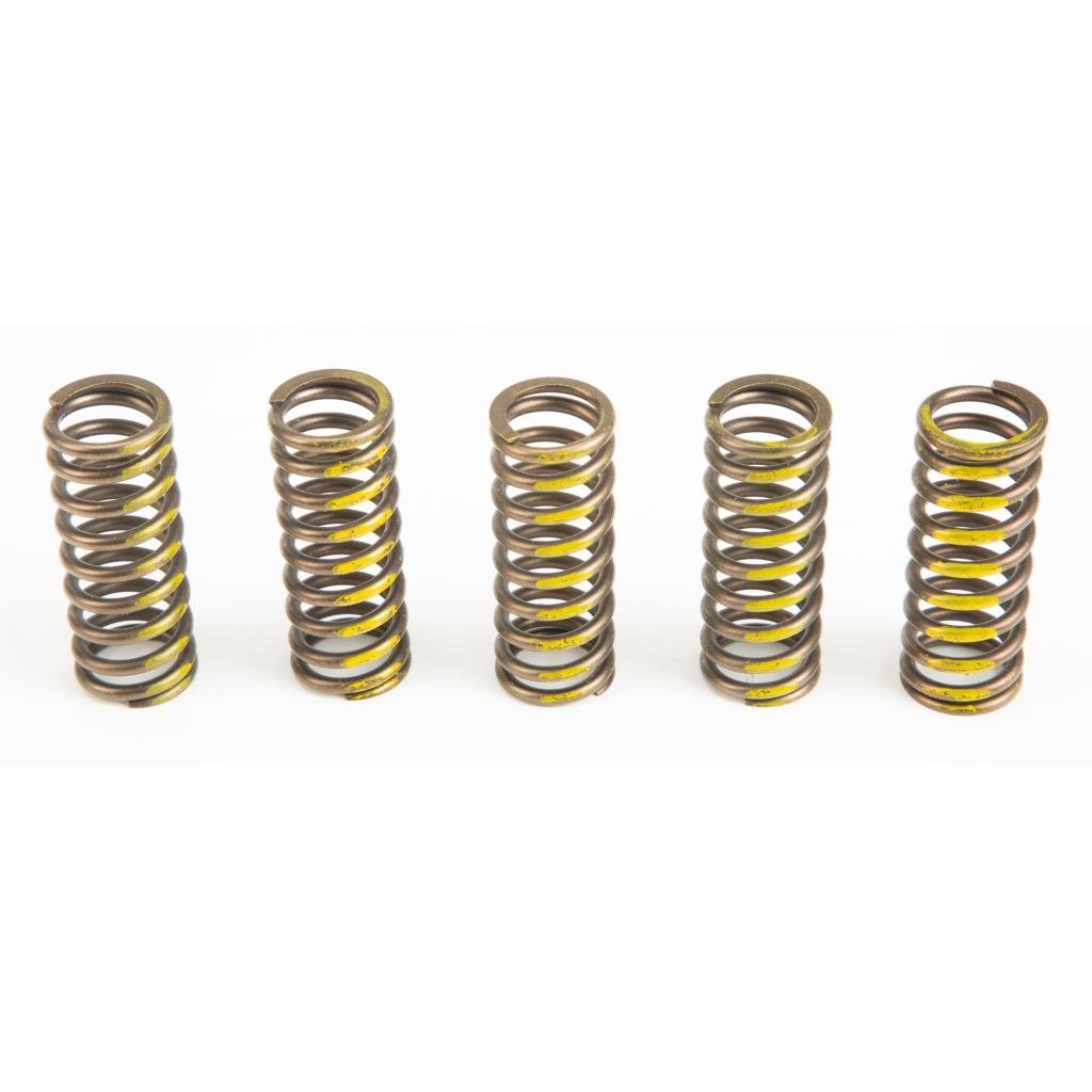 Pro Circuit High Performance Clutch Springs | CSS07250 - MojoMotoSport.com